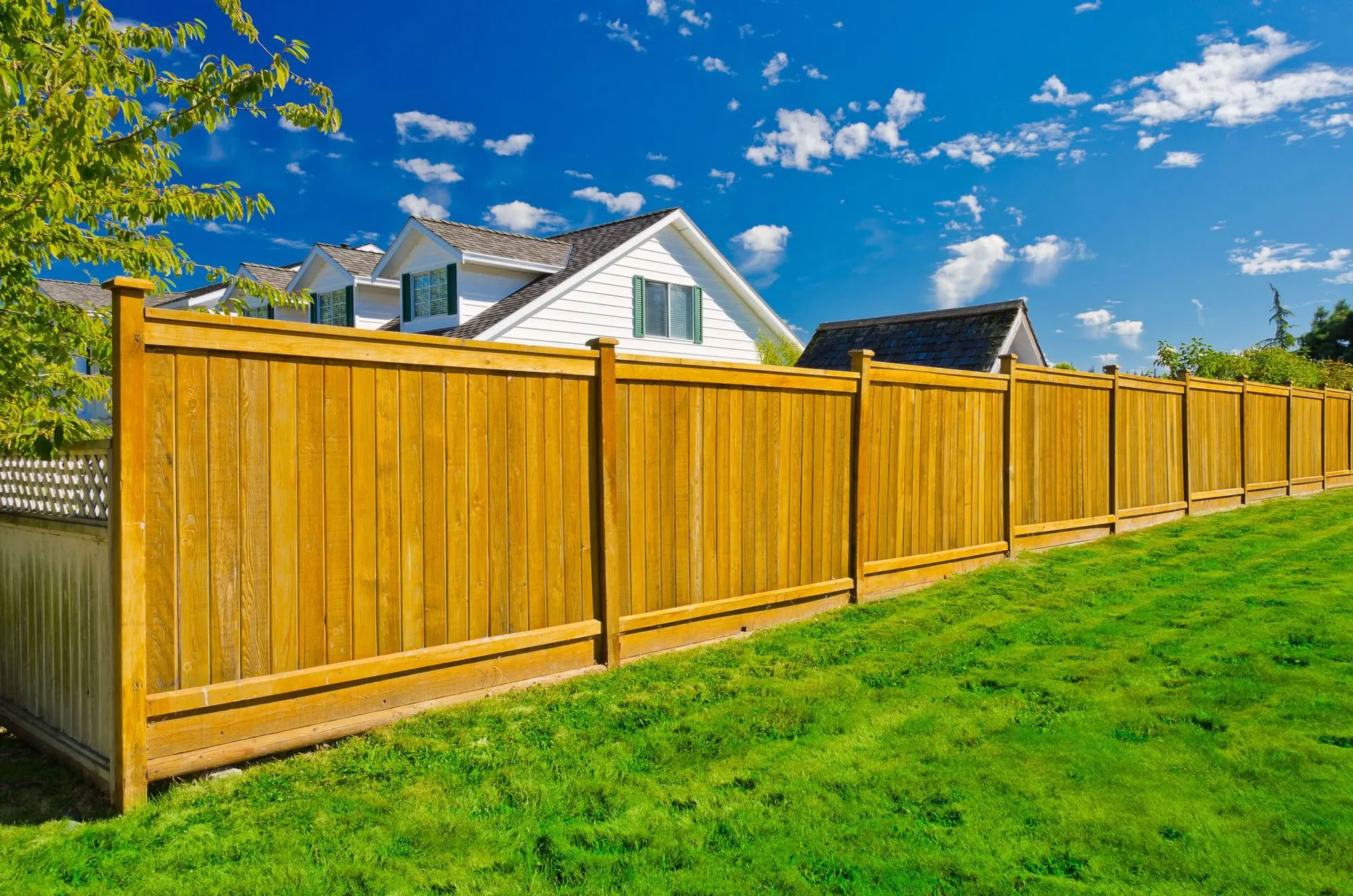 Fences